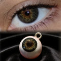 The Gaze ¡¤ Observer Charm