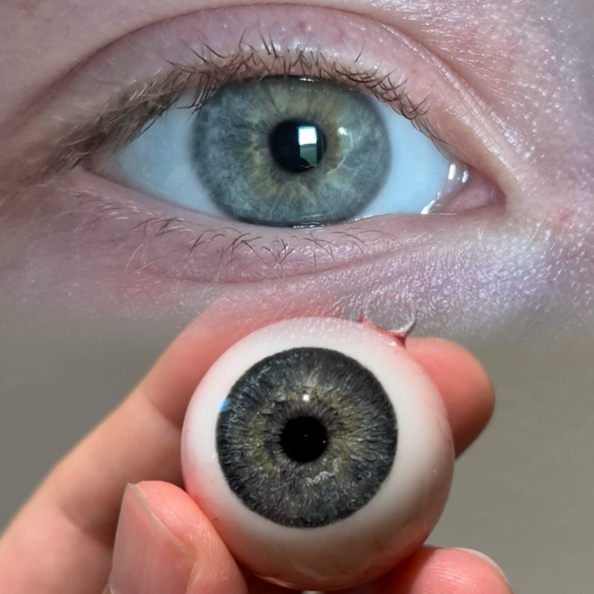 The Gaze ¡¤ Observer Charm
