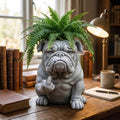 🐶Bulldog Planter — Instantly Infuse Your Plants with Personality 🌿