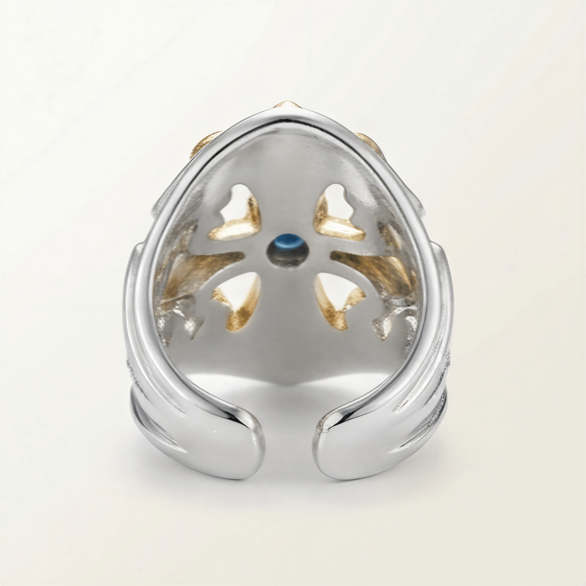 Sanctum Vision